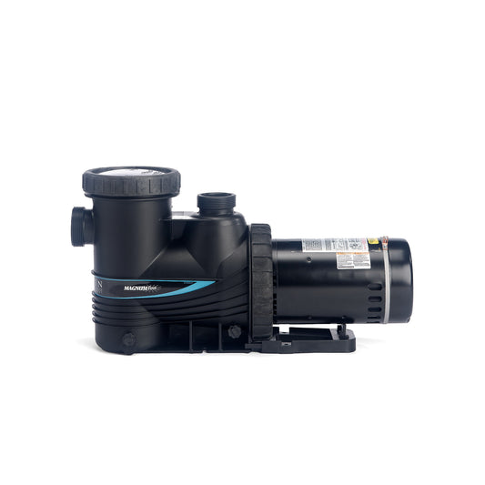 Carvin 2 HP deux vitesses – Pompe pour piscine creusée